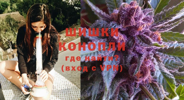 дмт Бронницы