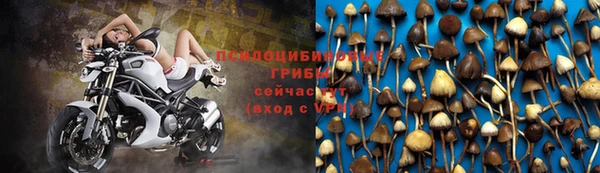 каннабис Бородино