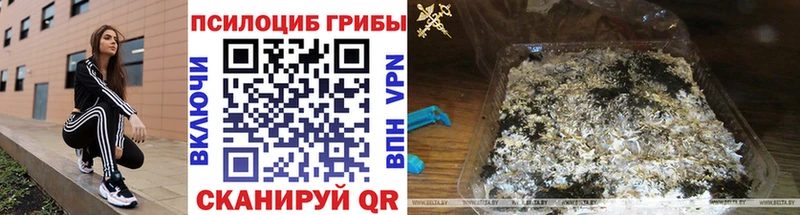 Галлюциногенные грибы Cubensis  Топки 